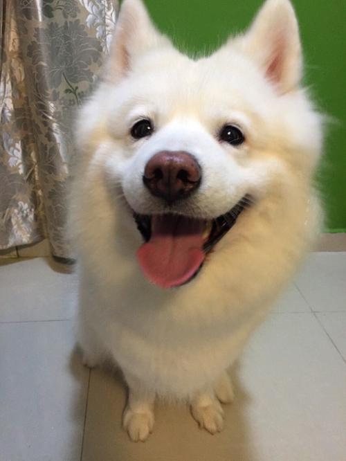 ںӹ2ȷ1֢״Ⱦг̹켣