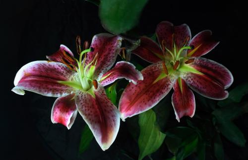 ֯ȫۼ¹ȷﲡ79673754